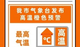 沈阳新闻头条最新爆料,重磅爆料揭示神秘事件真相